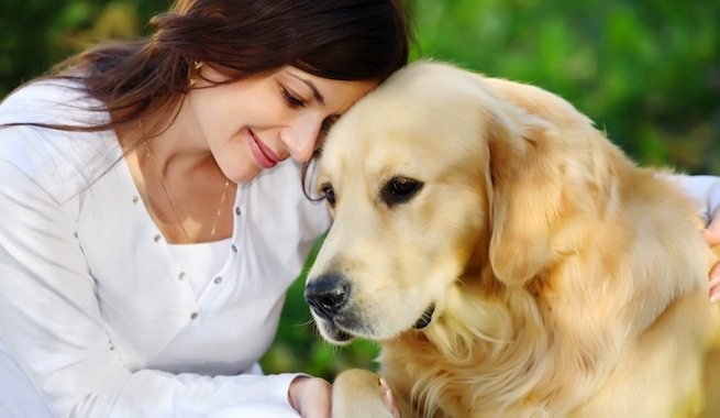 <span>Un lío de perros: custodia compartida de mascotas</span>
